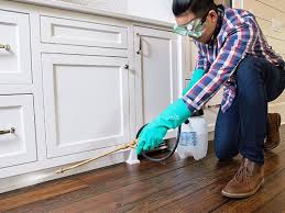 Best Residential Pest Control  in Guttenberg, NJ